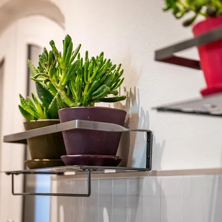 La Regia Apartamento