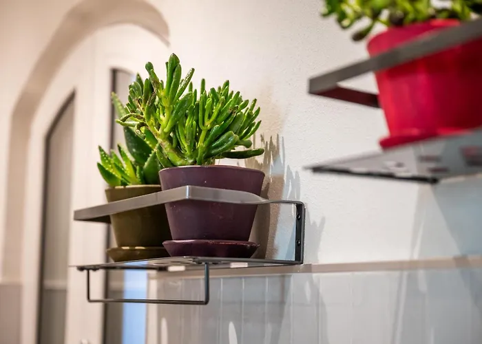 La Regia Διαμέρισμα